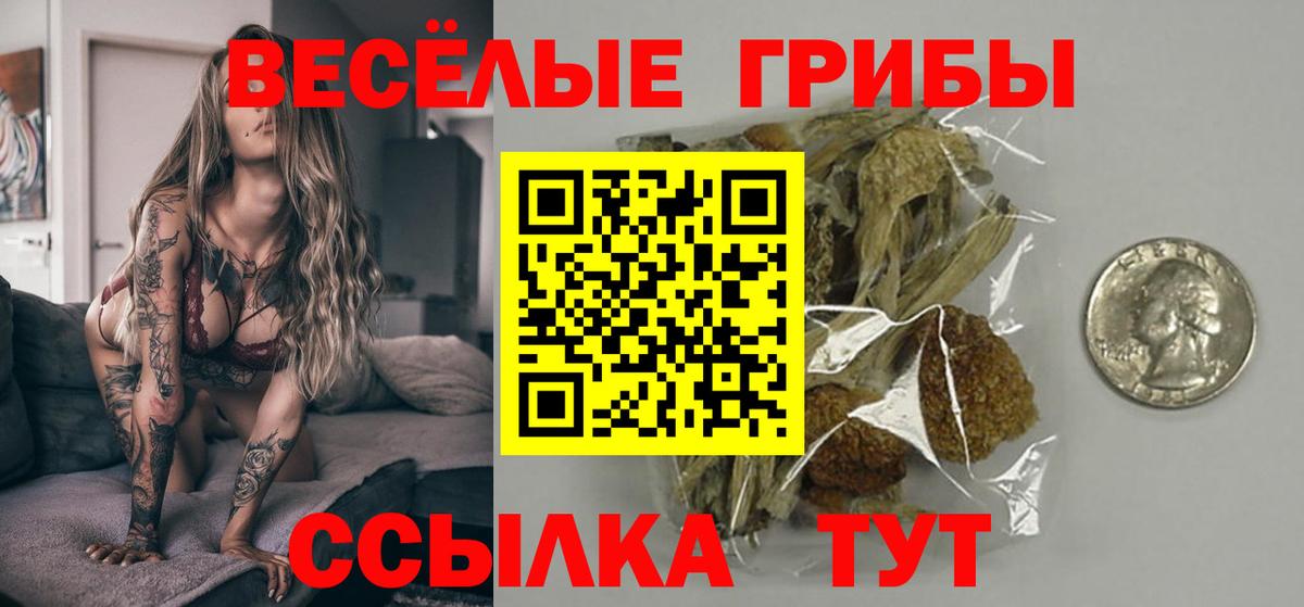 Галлюциногенные грибы прущие грибы Кызыл